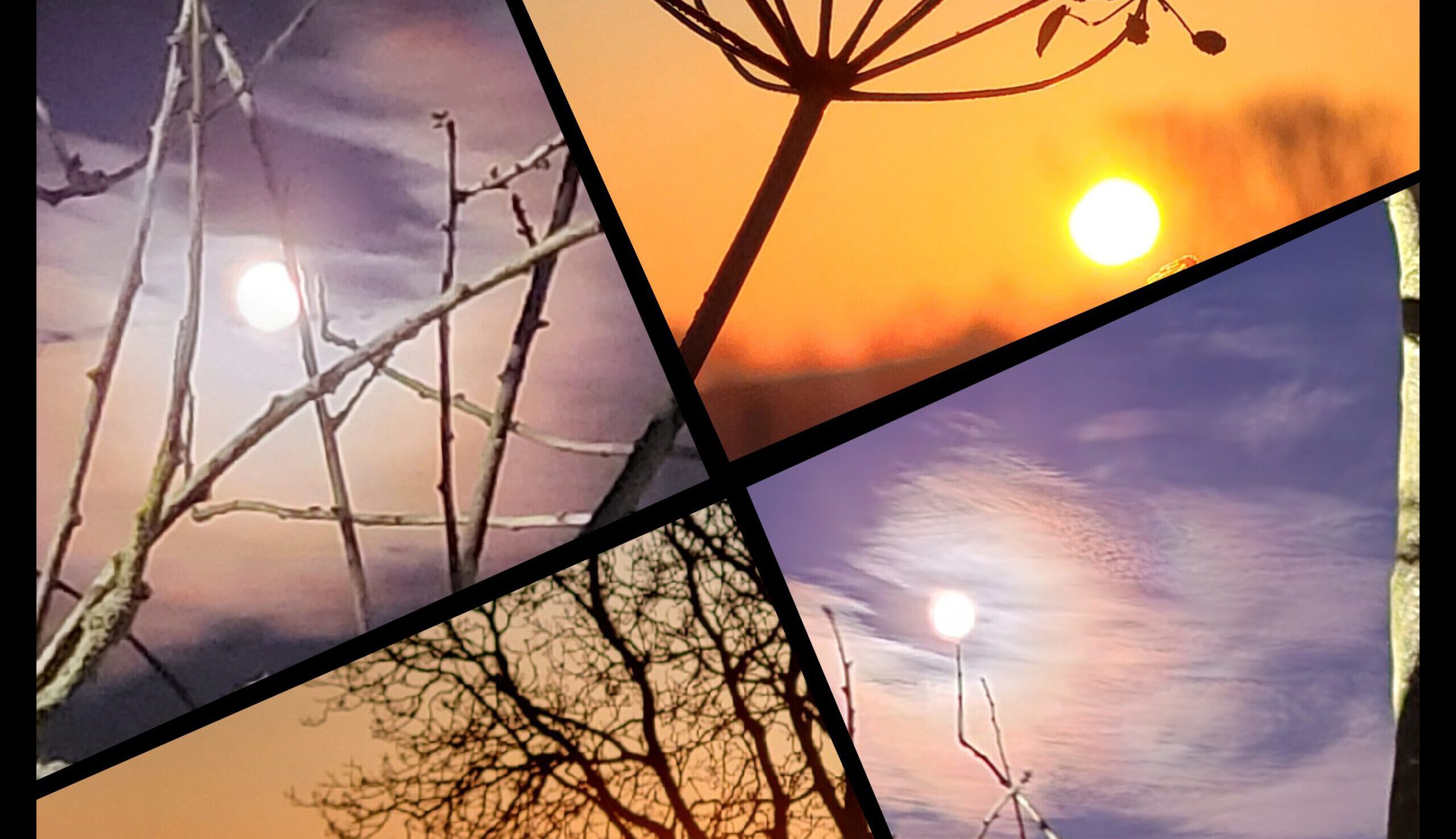 TRAUERGRUPPE für An- und Zugehörige nach Suizid